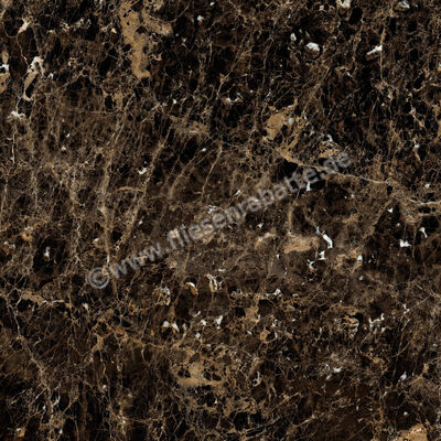  Ragno Incanto Emperador 120x120 cm Bodenfliese / Wandfliese Glänzend Eben Glossy R8SW | 514147