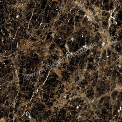  Ragno Incanto Emperador 120x120 cm Bodenfliese / Wandfliese Glänzend Eben Glossy R8SW | 514150