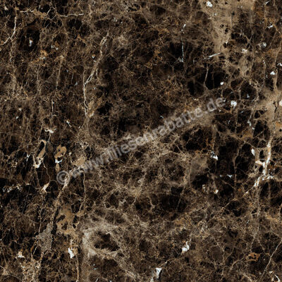  Ragno Incanto Emperador 120x120 cm Bodenfliese / Wandfliese Glänzend Eben Glossy R8SW | 514156
