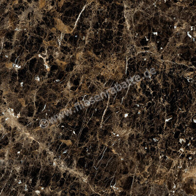  Ragno Incanto Emperador 120x120 cm Bodenfliese / Wandfliese Glänzend Eben Glossy R8SW | 514159