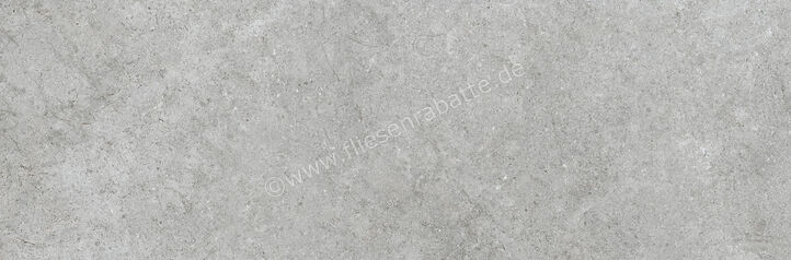  Ragno Richmond Silver 33x100 cm Wandfliese Matt Eben Naturale RACW | 515443