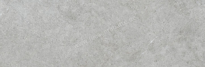  Ragno Richmond Silver 33x100 cm Wandfliese Matt Eben Naturale RACW | 515446