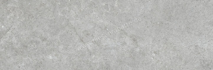  Ragno Richmond Silver 33x100 cm Wandfliese Matt Eben Naturale RACW | 515449