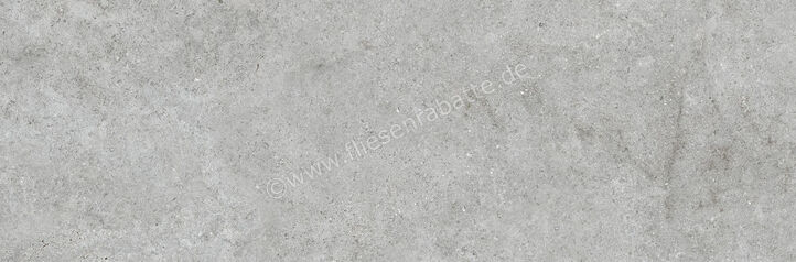  Ragno Richmond Silver 33x100 cm Wandfliese Matt Eben Naturale RACW | 515455
