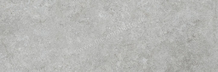  Ragno Richmond Silver 33x100 cm Wandfliese Matt Eben Naturale RACW | 515458