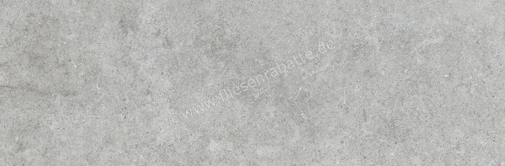  Ragno Richmond Silver 33x100 cm Wandfliese Matt Eben Naturale RACW | 515461