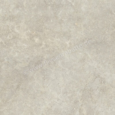  Ragno Richmond Taupe 100x100 cm Bodenfliese / Wandfliese Matt Eben Naturale RAFA | 515554