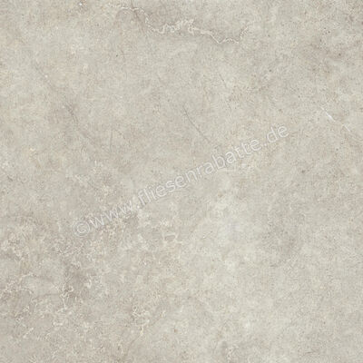  Ragno Richmond Taupe 100x100 cm Bodenfliese / Wandfliese Matt Eben Naturale RAFA | 515557