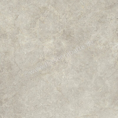  Ragno Richmond Taupe 100x100 cm Bodenfliese / Wandfliese Matt Eben Naturale RAFA | 515563