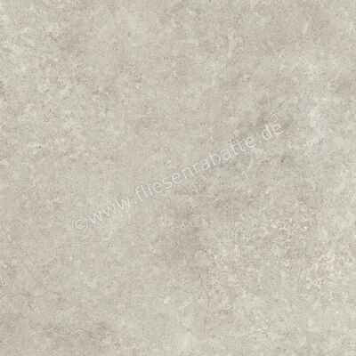  Ragno Richmond Taupe 100x100 cm Bodenfliese / Wandfliese Matt Eben Naturale RAFA | 515569