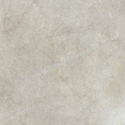 Ragno Richmond Taupe 100x100 cm Bodenfliese / Wandfliese Matt Eben Naturale RAFA | 515572