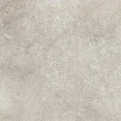  Ragno Richmond Taupe 100x100 cm Bodenfliese / Wandfliese Matt Eben Naturale RAFA | 515575
