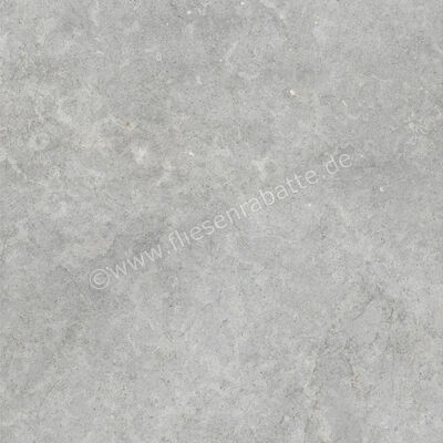  Ragno Richmond Silver 100x100 cm Bodenfliese / Wandfliese Matt Eben Naturale RAFC | 515578