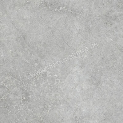  Ragno Richmond Silver 100x100 cm Bodenfliese / Wandfliese Matt Eben Naturale RAFC | 515581