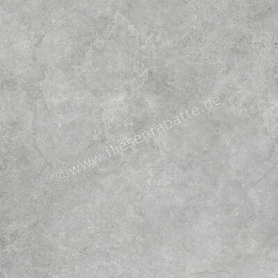  Ragno Richmond Silver 100x100 cm Bodenfliese / Wandfliese Matt Eben Naturale RAFC | 515587