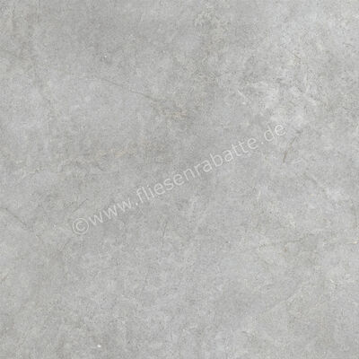  Ragno Richmond Silver 100x100 cm Bodenfliese / Wandfliese Matt Eben Naturale RAFC | 515590