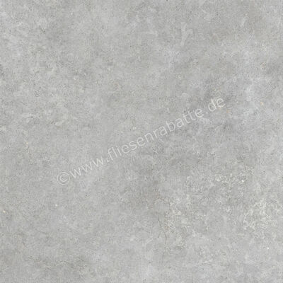  Ragno Richmond Silver 100x100 cm Bodenfliese / Wandfliese Matt Eben Naturale RAFC | 515593