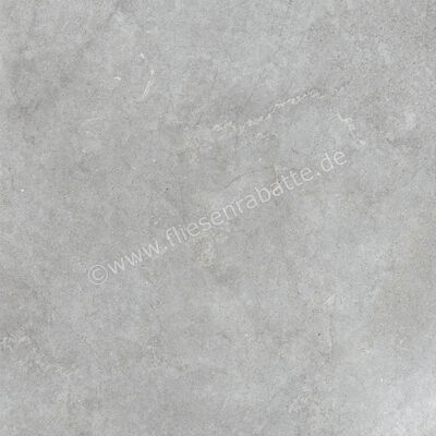  Ragno Richmond Silver 100x100 cm Bodenfliese / Wandfliese Matt Eben Naturale RAFC | 515596