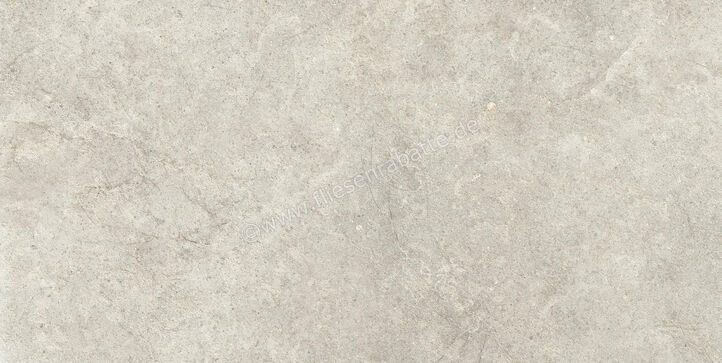 Ragno Richmond Taupe 60x120 cm Bodenfliese / Wandfliese Matt Eben Naturale RALR | 516160