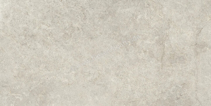  Ragno Richmond Taupe 60x120 cm Bodenfliese / Wandfliese Matt Eben Naturale RALR | 516169