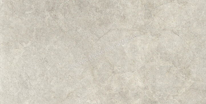  Ragno Richmond Taupe 60x120 cm Bodenfliese / Wandfliese Matt Eben Naturale RALR | 516175