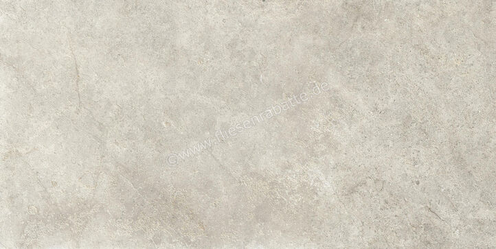  Ragno Richmond Taupe 60x120 cm Bodenfliese / Wandfliese Matt Eben Naturale RALR | 516178