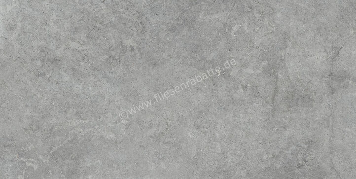  Ragno Richmond Carbon 60x120 cm Bodenfliese / Wandfliese Matt Eben Naturale RALS | 516193