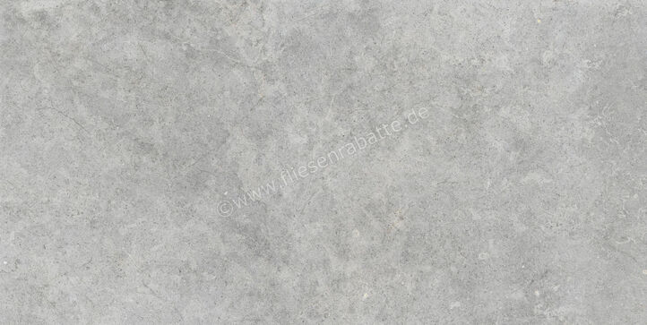  Ragno Richmond Silver 60x120 cm Bodenfliese / Wandfliese Matt Eben Naturale RALT | 516205