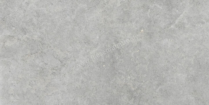  Ragno Richmond Silver 60x120 cm Bodenfliese / Wandfliese Matt Eben Naturale RALT | 516208