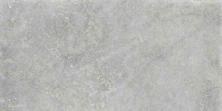  Ragno Richmond Silver 60x120 cm Bodenfliese / Wandfliese Matt Eben Naturale RALT | 516211