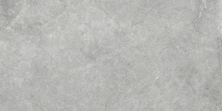  Ragno Richmond Silver 60x120 cm Bodenfliese / Wandfliese Matt Eben Naturale RALT | 516214