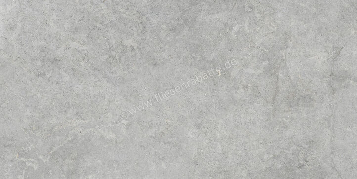  Ragno Richmond Silver 60x120 cm Bodenfliese / Wandfliese Matt Eben Naturale RALT | 516217