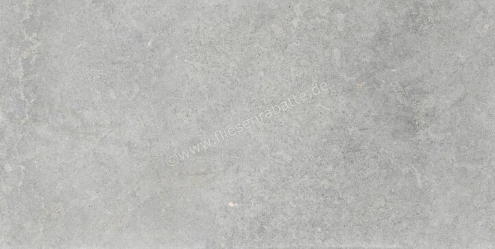  Ragno Richmond Silver 60x120 cm Bodenfliese / Wandfliese Matt Eben Naturale RALT | 516220