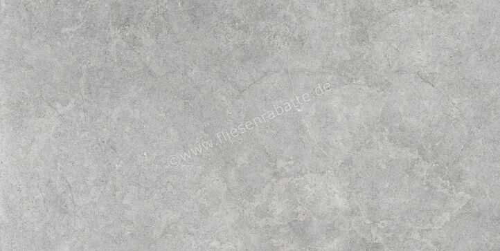  Ragno Richmond Silver 60x120 cm Bodenfliese / Wandfliese Matt Eben Naturale RALT | 516223