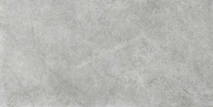  Ragno Richmond Silver 60x120 cm Bodenfliese / Wandfliese Matt Eben Naturale RALT | 516226