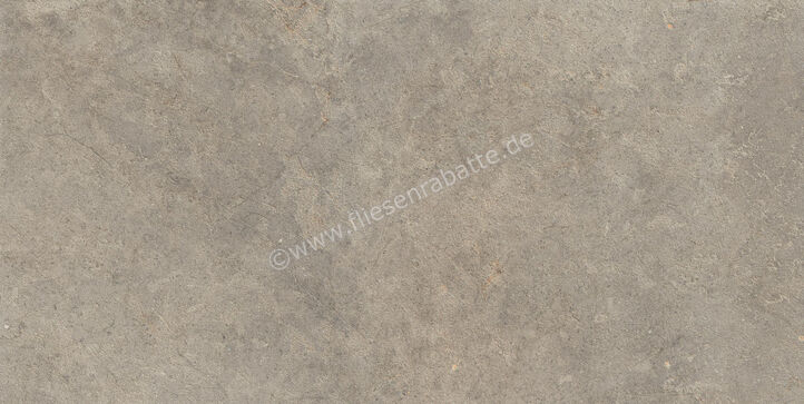  Ragno Richmond Musk 60x120 cm Bodenfliese / Wandfliese Matt Eben Naturale RALU | 516229