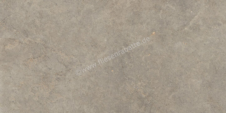  Ragno Richmond Musk 60x120 cm Bodenfliese / Wandfliese Matt Eben Naturale RALU | 516232