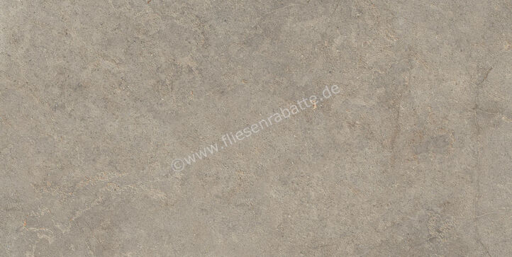  Ragno Richmond Musk 60x120 cm Bodenfliese / Wandfliese Matt Eben Naturale RALU | 516241