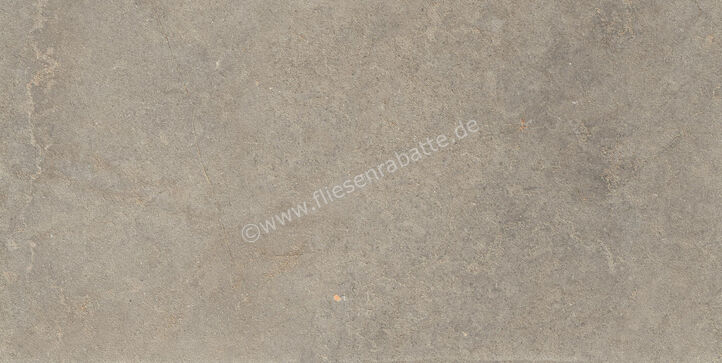  Ragno Richmond Musk 60x120 cm Bodenfliese / Wandfliese Matt Eben Naturale RALU | 516244