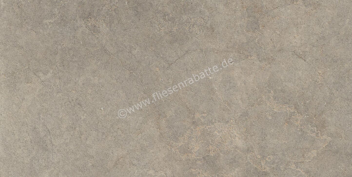  Ragno Richmond Musk 60x120 cm Bodenfliese / Wandfliese Matt Eben Naturale RALU | 516253