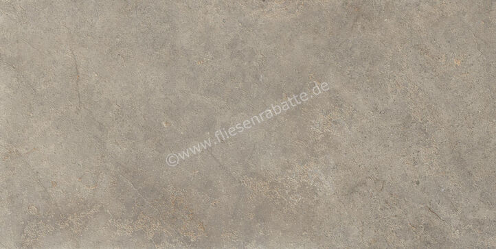  Ragno Richmond Musk 60x120 cm Bodenfliese / Wandfliese Matt Eben Naturale RALU | 516259