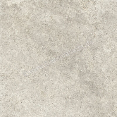  Ragno Richmond Taupe 60x60 cm Bodenfliese / Wandfliese Matt Eben Naturale RCDT | 516361