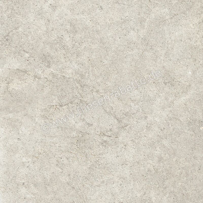  Ragno Richmond Taupe 60x60 cm Bodenfliese / Wandfliese Matt Eben Naturale RCDT | 516367
