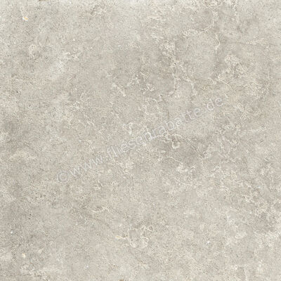  Ragno Richmond Taupe 60x60 cm Bodenfliese / Wandfliese Matt Eben Naturale RCDT | 516373
