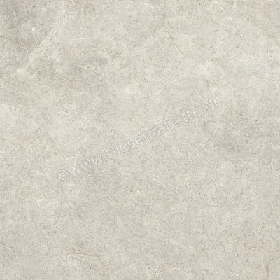  Ragno Richmond Taupe 60x60 cm Bodenfliese / Wandfliese Matt Eben Naturale RCDT | 516379