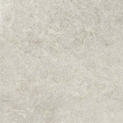  Ragno Richmond Taupe 60x60 cm Bodenfliese / Wandfliese Matt Eben Naturale RCDT | 516385