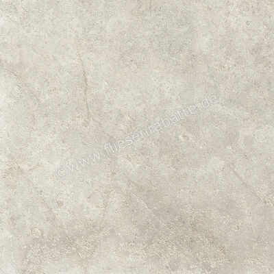  Ragno Richmond Taupe 60x60 cm Bodenfliese / Wandfliese Matt Eben Naturale RCDT | 516403
