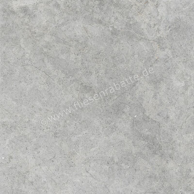  Ragno Richmond Silver 60x60 cm Bodenfliese / Wandfliese Matt Eben Naturale RCDU | 516409