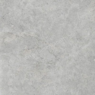  Ragno Richmond Silver 60x60 cm Bodenfliese / Wandfliese Matt Eben Naturale RCDU | 516415