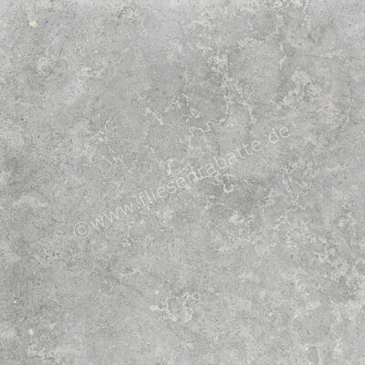  Ragno Richmond Silver 60x60 cm Bodenfliese / Wandfliese Matt Eben Naturale RCDU | 516421